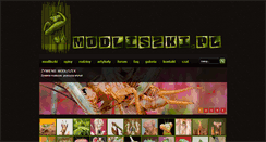 Desktop Screenshot of modliszki.pl